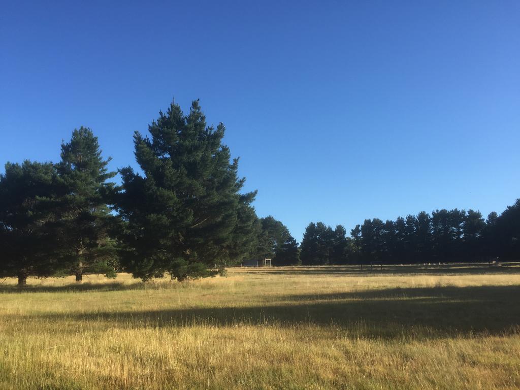 Helen'S Homestead Enfield Bagian luar foto