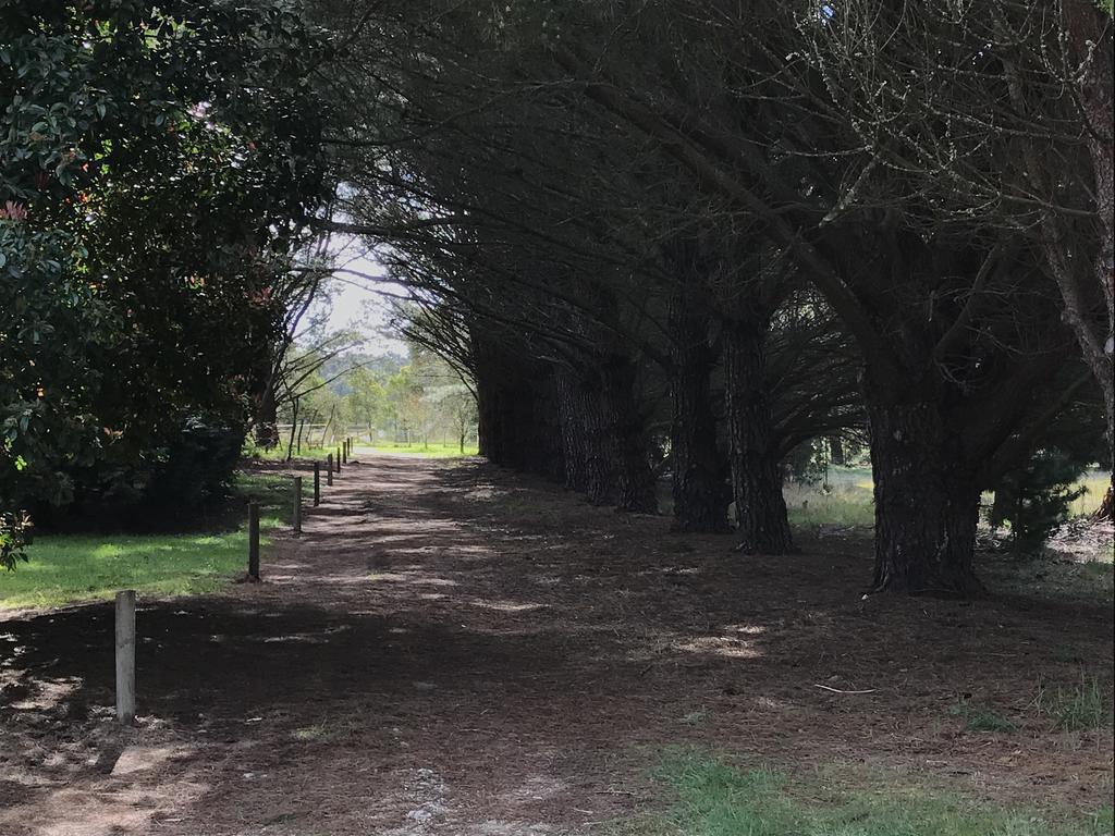Helen'S Homestead Enfield Bagian luar foto