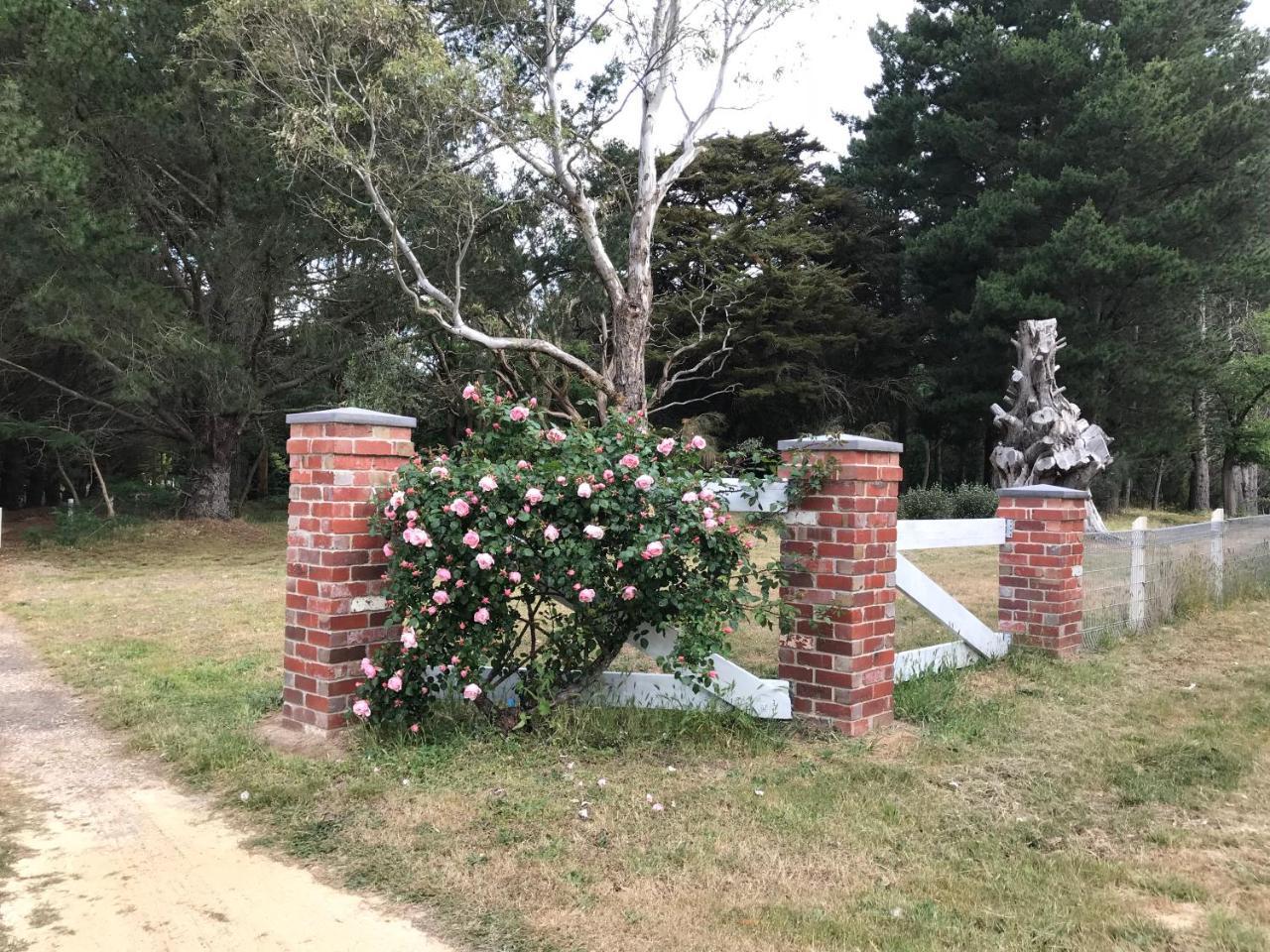 Helen'S Homestead Enfield Bagian luar foto